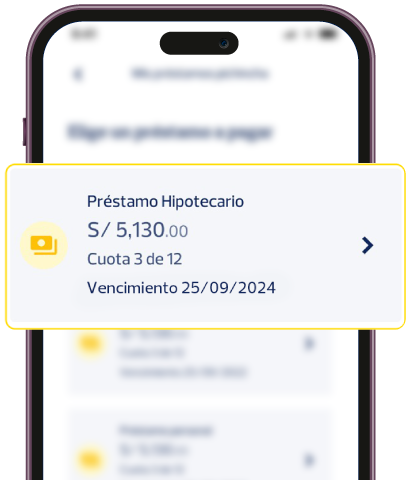 Paga tu crédito en minutos